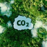 10 gestos para mitigar los efectos del cambio climático