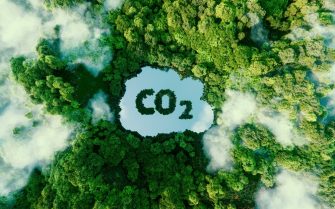 10 gestos para mitigar los efectos del cambio climático