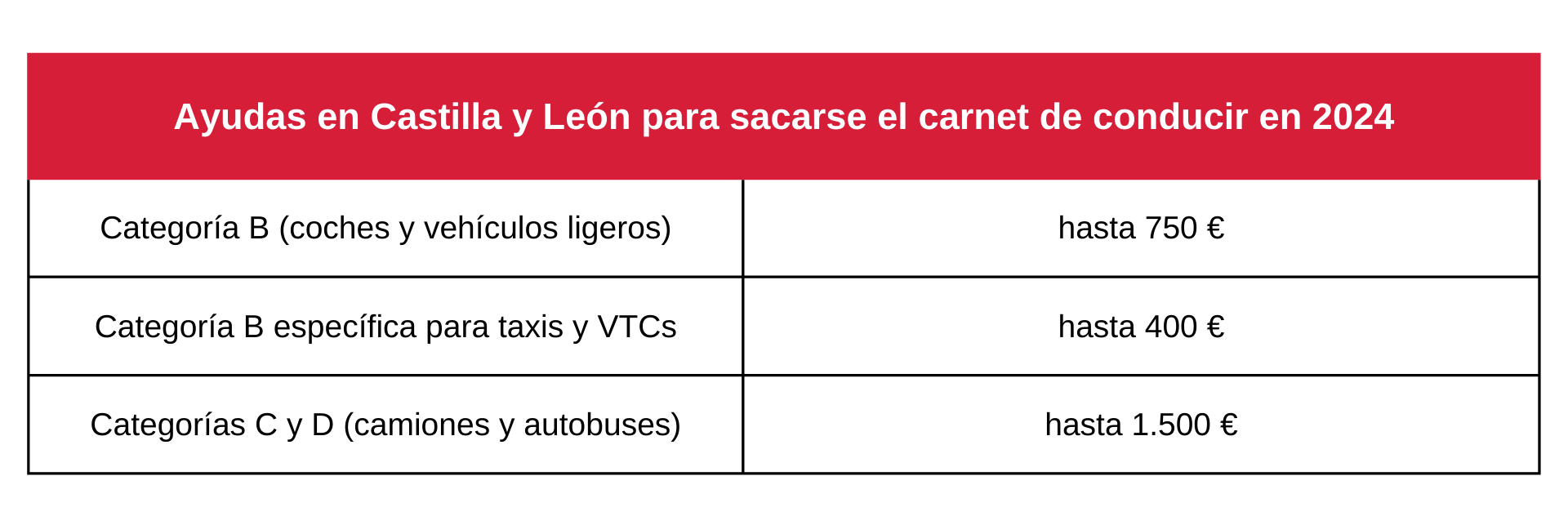 Tabla sobre ayudas en Castilla y León para sacarse el carnet de conducir en 2024