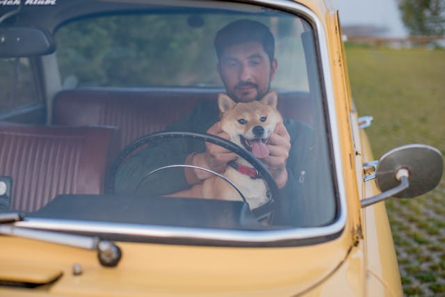 Chico en un coche con su perro