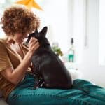 Los 7 mejores juegos de inteligencia para perros