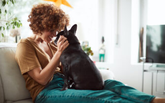 Los 7 mejores juegos de inteligencia para perros