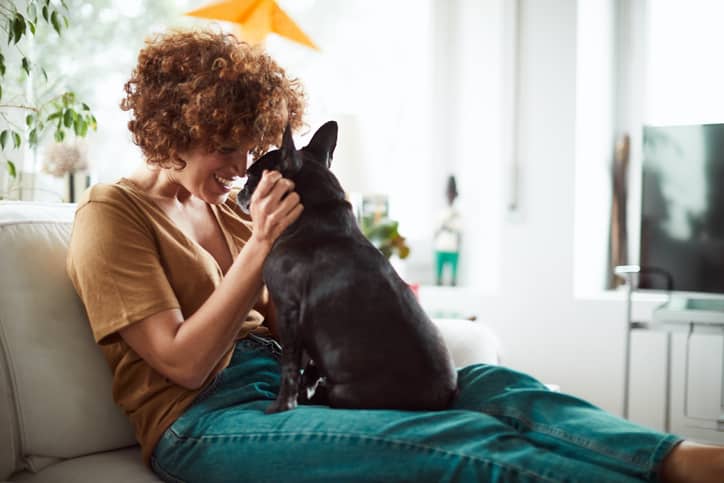 Las 7 mejores pelotas interactiva para perros 