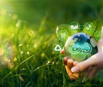 Economía verde y economía ecológica