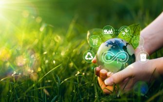 Economía verde y economía ecológica