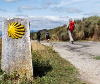 Etapas del camino de santiago