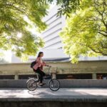 Movilidad sostenible ¿Qué tipos de transportes ecológicos existen?