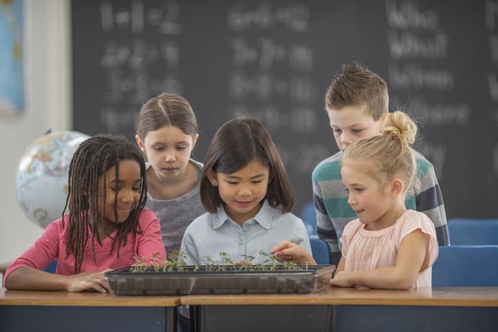 ¿Qué es el Método Montessori? | ViveMásVidas