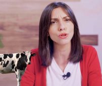¿Sabías que en 2019 Bruselas propuso gravar con impuestos los pedos de las vacas?