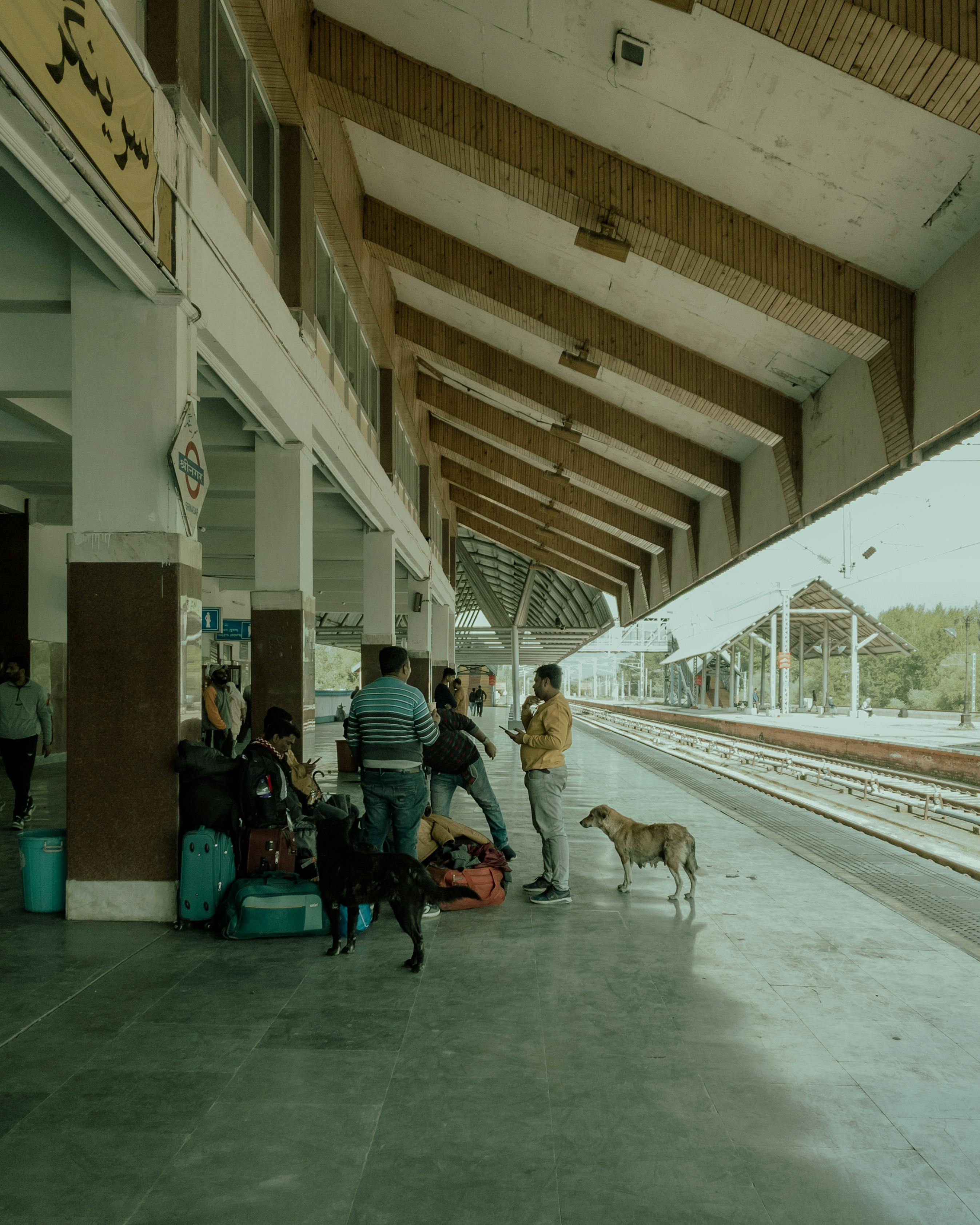 perro_viajando_en_tren Una estación de tren con personas y sus perros.