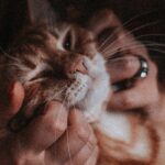 ¿Cómo valorar el contenido de tu casa en un seguro de hogar?