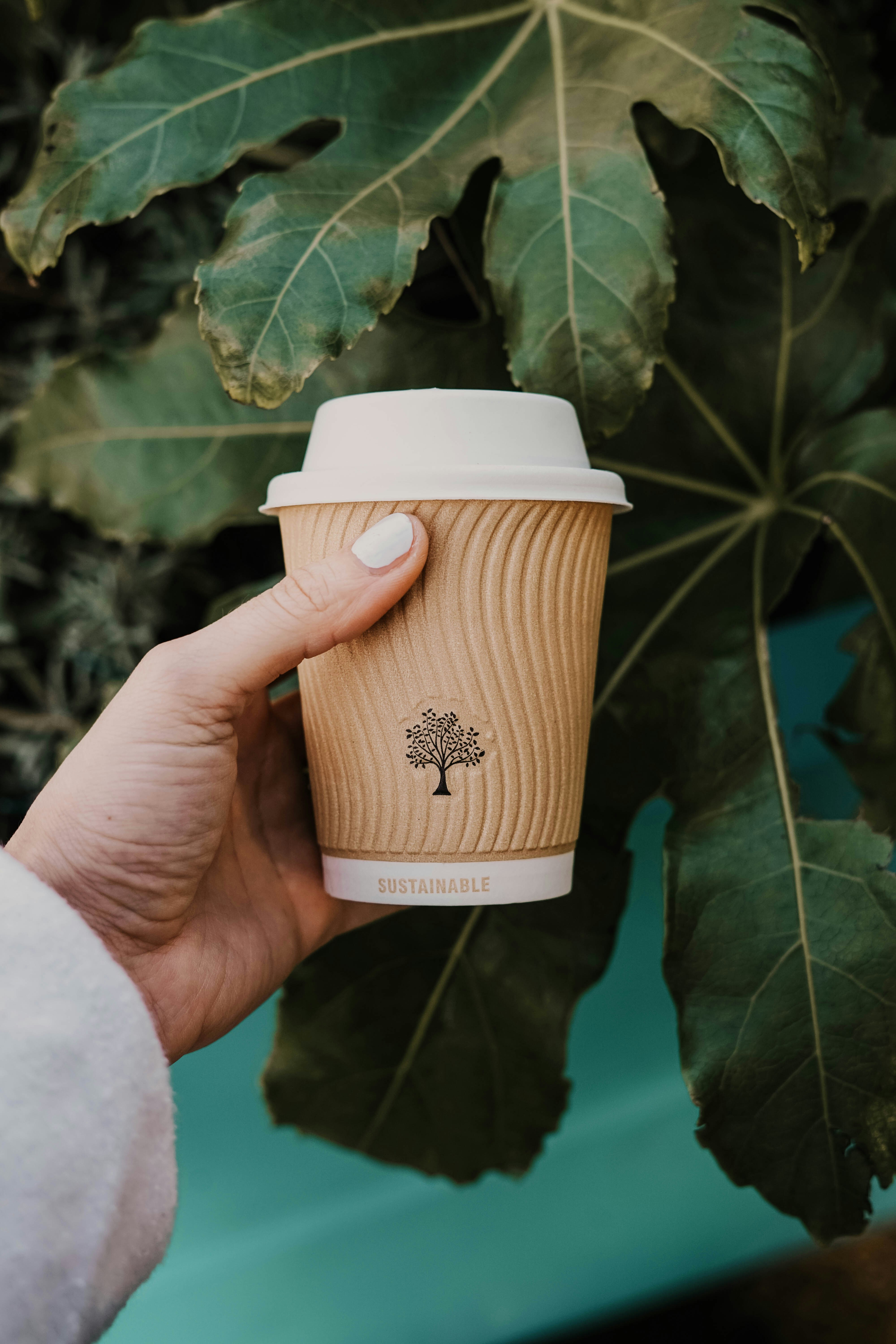 Las pequeñas decisiones como la alimentación son la puerta de entrada al consumo sostenible Mano de mujer sostiene un vaso de café de consumo sostenible